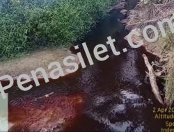 Diduga Limbah Pabrik Sawit PT SIAP Cemari Sungai di Bumi Kencana, Ancam Lingkungan dan Kesehatan