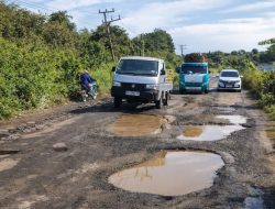 Perbedaan Mencolok Jalan Lintas Muba-PALI: Lubang Menganga di Sisi Muba, Mulus di Sisi PALI, Ketimpangan Jalan Provinsi
