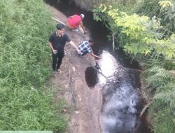 PWRI Muba: Bantahan PT SIAP Tak Menjawab, Jejak Dugaan Pencemaran Sungai di Bumi Kencana Masih Terlihat, DPRD Didesak Turun Tangan