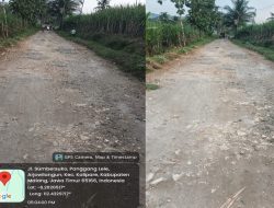 10 Tahun Dibiarkan, Jalan di Kalipare Berubah Jadi “Jebakan Maut” Pemkab Malang Tutup Mata?