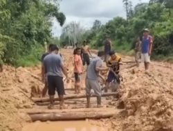 Warga Dipaksa Jadi ‘Dinas PU’ Dadakan”: 80 Tahun Indonesia Merdeka Jalan di Desa Mekar Jaya Masih Berkubang Lumpur