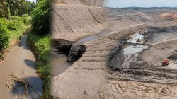Sungai dan Kebun Warga Diduga Tercemar Limbah Tambang PT BSPC, Masyarakat Bero Jaya Timur Desak Pemerintah Bertindak