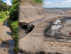 Sungai dan Kebun Warga Diduga Tercemar Limbah Tambang PT BSPC, Masyarakat Bero Jaya Timur Desak Pemerintah Bertindak
