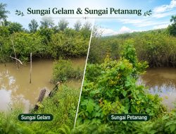 Diduga Tutup Aliran Sungai Alami, PT Muaro Bungo Didesak Diusut: Warga Muba Tolak Perusakan Lingkungan Berkedok Pembangunan
