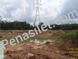 Atas Nama Pembangunan Nasional, Lingkungan Dipertaruhkan? Dugaan Galian Material PT Petronesia Benimel Subkontraktor PT HKI Pasok Proyek Tol di Muba Tinggalkan Luka Ekologis