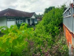 Kantor BNK Lotim Terbengkalai, Warga Sukamulia Timur Desak Pemda Alih Fungsikan Jadi Kantor Desa