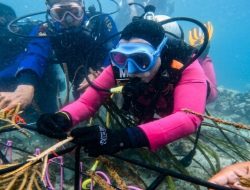 Jaga Kelestarian Ekosistem Laut, Ketua Bhayangkari Daerah NTB Tanam Terumbu Karang di Gili Sudak