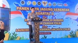 Polda NTB Gelar Panen Raya Jagung Serentak, Dukung Ketahanan Pangan Nasional