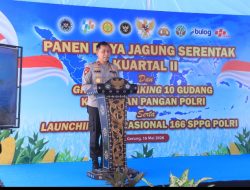 Polda NTB Gelar Panen Raya Jagung Serentak, Dukung Ketahanan Pangan Nasional