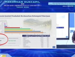 Alarm Ketenagakerjaan! Dukcapil Ungkap Hampir 75 Juta Penduduk Masuk Kategori Belum Bekerja, Wiraswasta Jadi Penopang Ekonomi Nasional