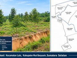 Ratusan Hektare Usaha Perkebunan Kayu Meranti di Desa Epil, Diduga Tak Mengantongi Izin, Pemkab Muba Diminta Turun Tangan